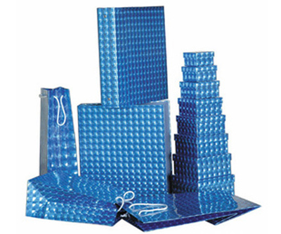 Holographic Fresnel Lens Film